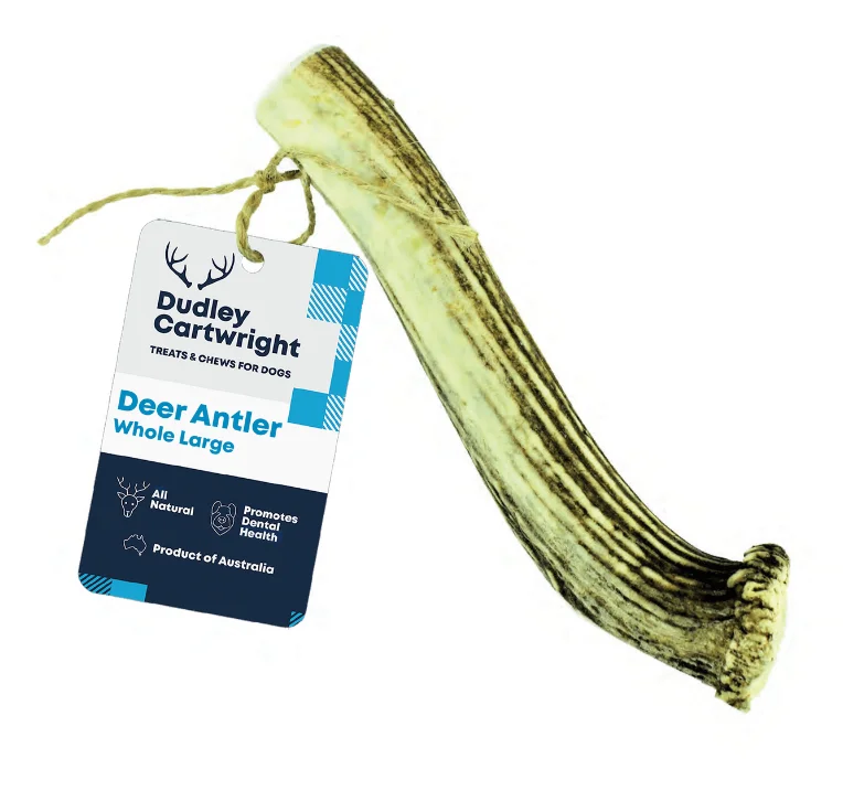 - Cat stress soothing sprayDudley Antler Whole - Large