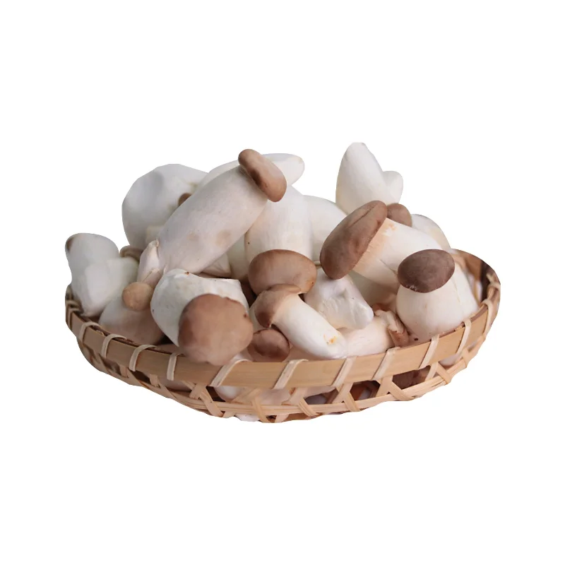 ---GS Mini King Eryngii Mushroom (China) 250g