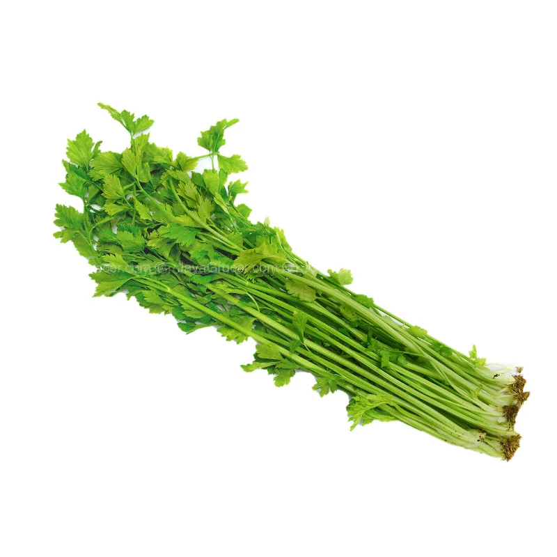 - Air box TSA certified check-inChinese Celery (Daun Sup) (Malaysia) 100g