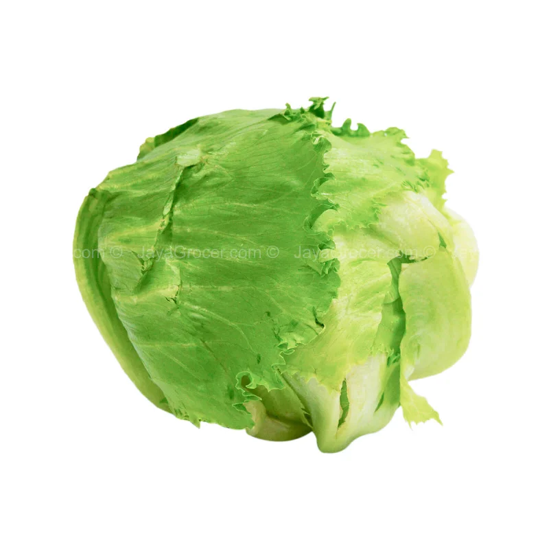 - Postoperative pet anti-licking Elizabethan collarGenting Garden Iceberg Lettuce (Malaysia) 1pack