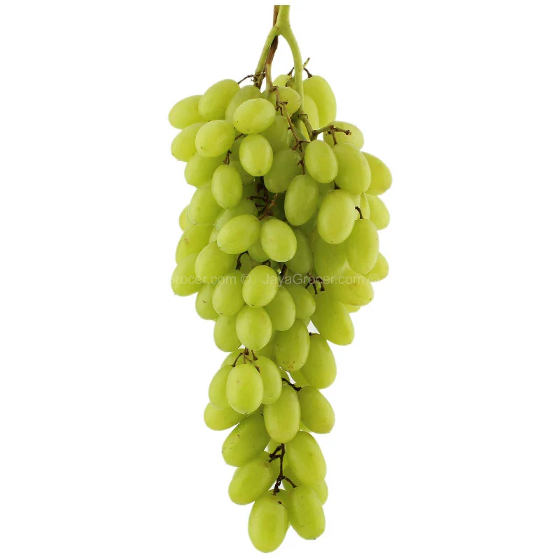  -Splash-proof food bowl AND Anti-choking slow food bowlGreen Seedless Grapes (Egypt) 500g