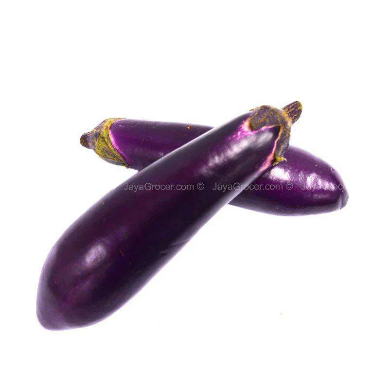 - Pregnant cat delivery room warming boxBrinjal - long (terung panjang) 300g