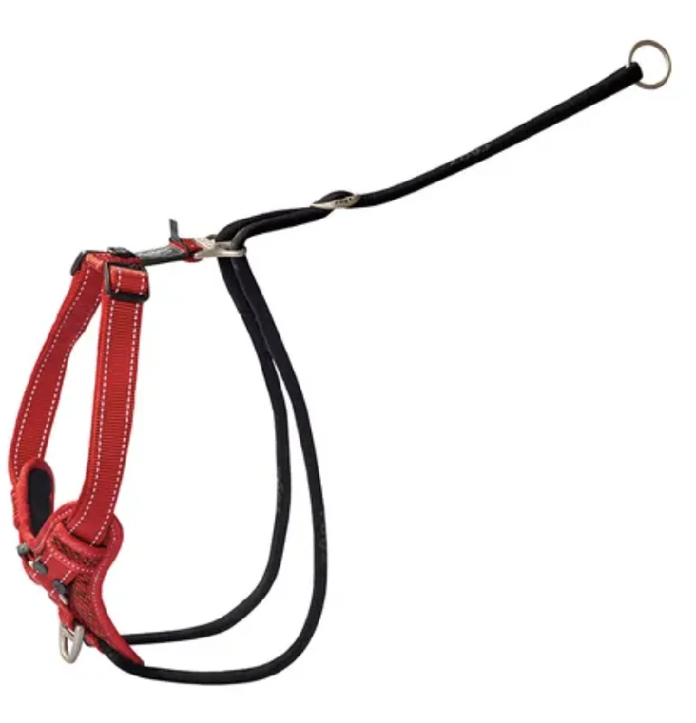 - Winter dog thick down jacketRogz Stop Pull Harness - Red - Medium