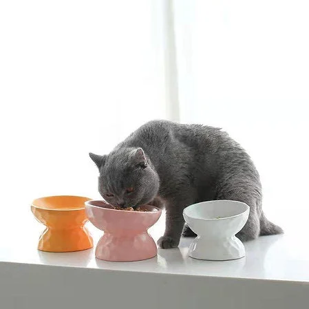 - Car dog seat beltFurBub Elevated Ceramic Cat Bowl