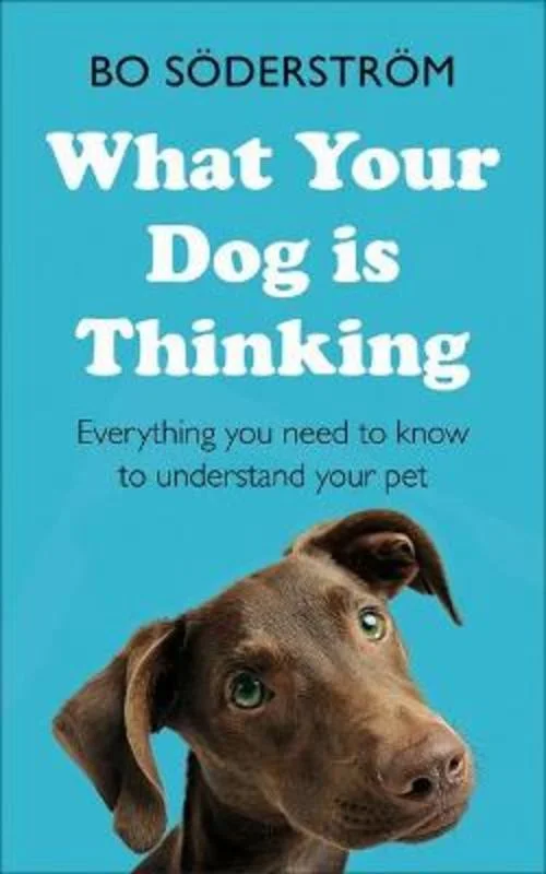 - Natural latex pet mattressWhat Your Dog Is Thinking