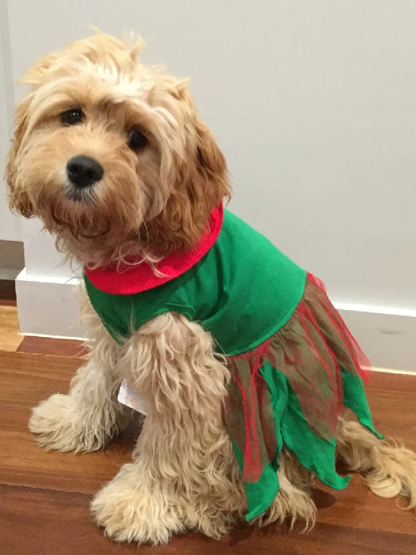 Pet ProductsDog Bless You - Elf Girl Costume